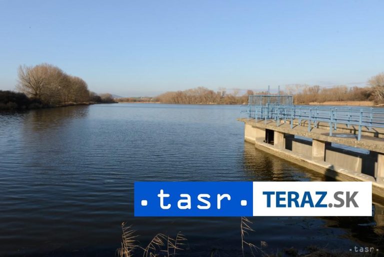 Umelý výter hlavátky podunajskej má podľa ochranárov zásadný význam