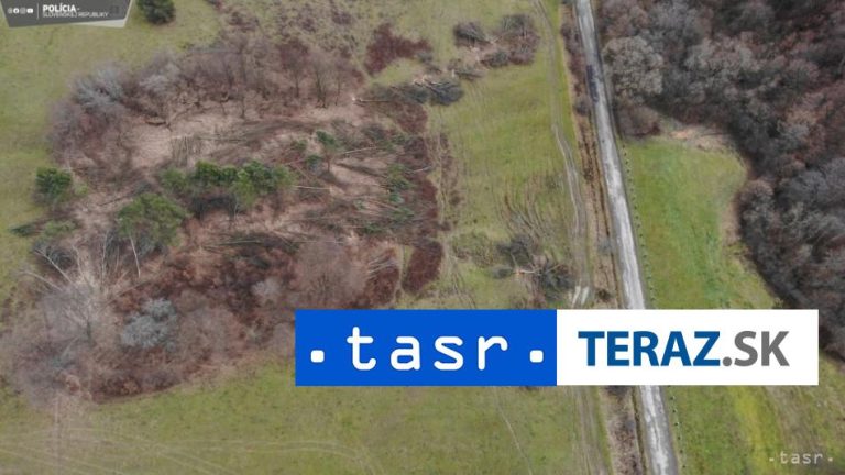 Vyrúbal 111 stromov v chránenom území, polícia ho obvinila