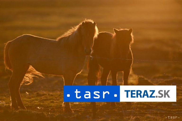 Prieskum: Klimatická zmena ovplyvňuje dovolenkové správanie ľudí