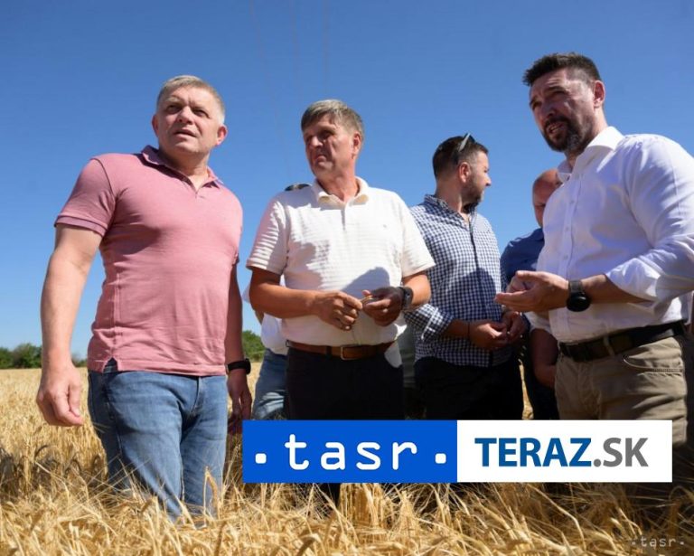 Na Slovensku je extrémne sucho, očakáva sa priemerný výsledok žatvy