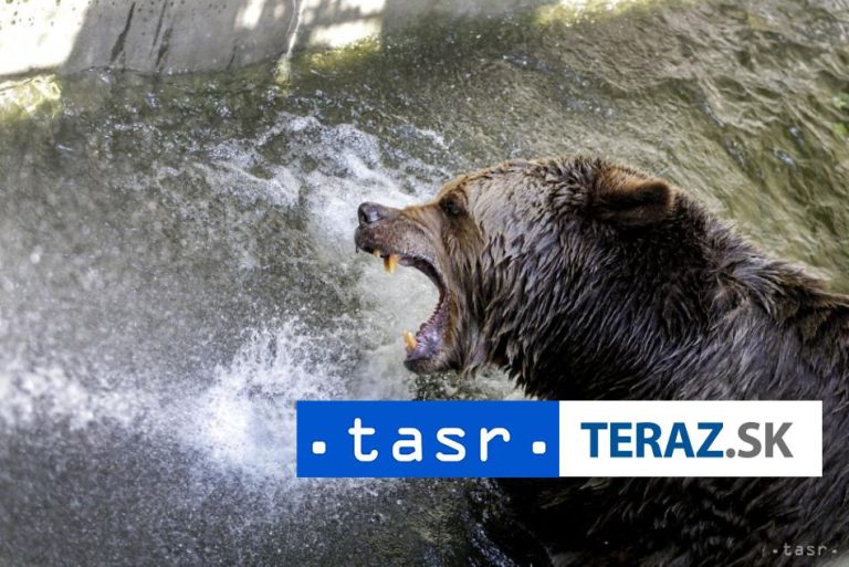 MEDVEDE A ROZSUDOK SMRTI: Poľský Tatranský národný park varuje