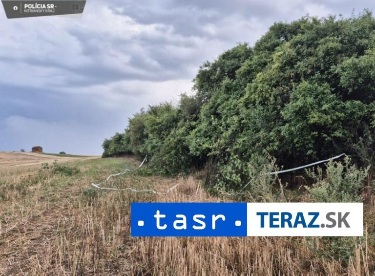 Nález kostí vo Veľkých Ripňanoch vyšetruje polícia ako vraždu