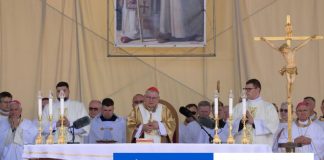 Vládni predstavitelia odcestujú do Prahy, uctia si pamiatku D. Duku