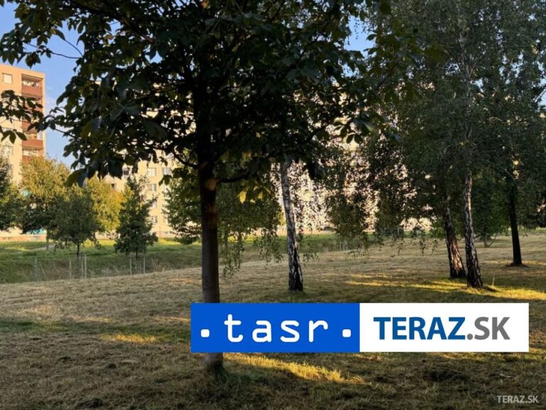Vo Veľkom Krtíši plánujú obnoviť zeleň vo svojom mestskom parku Hôrka