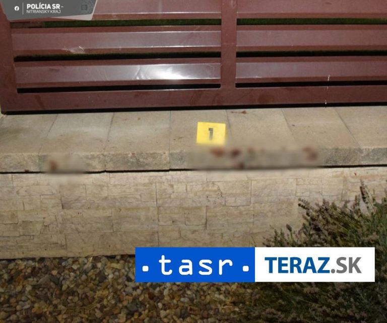 Pri Topoľčanoch útočil pes, tri deti skončili v nemocnici