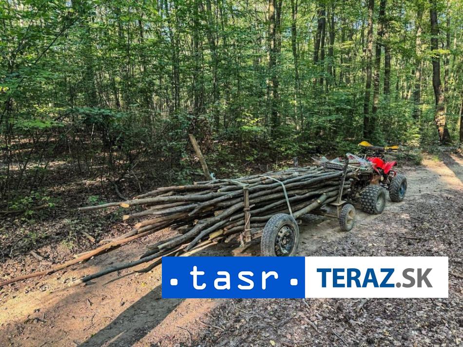 Pri-kradezi-35-kusov-stromov-ich-chytila-policia.jpg
