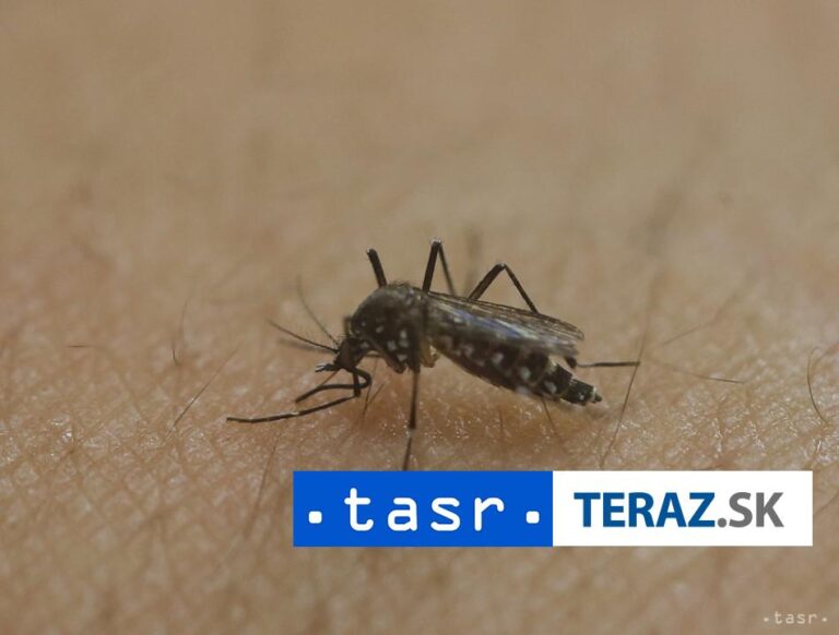 V Európe je rekordný výskyt chorôb prenášaných komármi