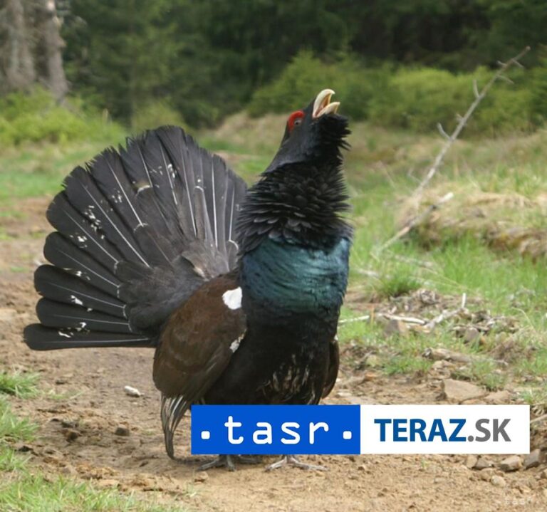 V zonácii NAPANT chýba ochrana niektorých lokalít