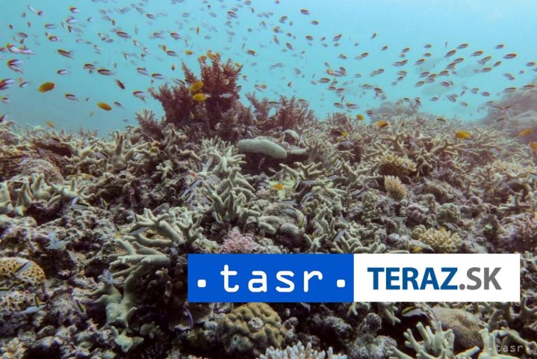 Veľká koralová bariéra stratila najviac živých koralov od roku 1986
