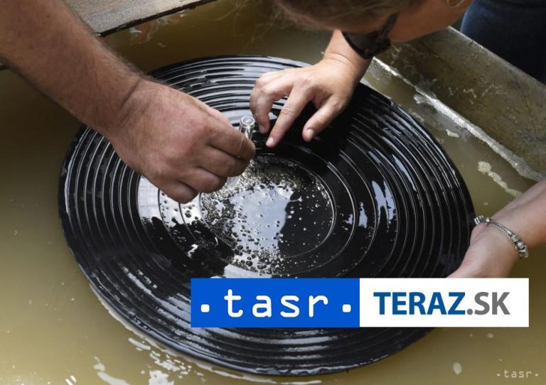 Z majstrovstiev sveta v ryžovaní zlata priviezli Slováci deväť medailí