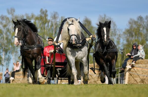 Účastníci predstavenia. Účastníci predstavenia. - Sputnik International