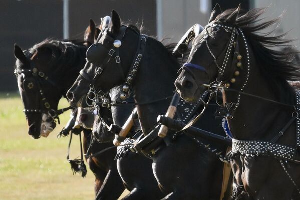 Výkon trval hodinu a pol. Výkon trval hodinu a pol. - Sputnik International