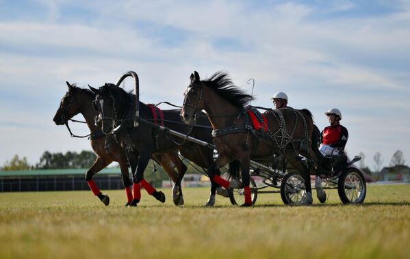V programe sa objavili poštové troikas XVIII storočia, elegantné slávnostné vozy XIX Century, silné sovietske trosky XX Century a Sports Carriages. V programe sa objavili poštové troikas XVIII storočia, elegantné slávnostné vozy XIX Century, silné sovietske trosky XX Century a Sports Carriages. - Sputnik International