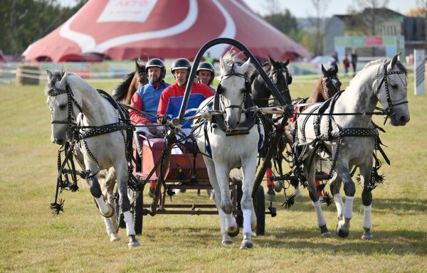 Ruská troika je živý symbol ruskej kultúry. Ruská troika je živý symbol ruskej kultúry. - Sputnik International