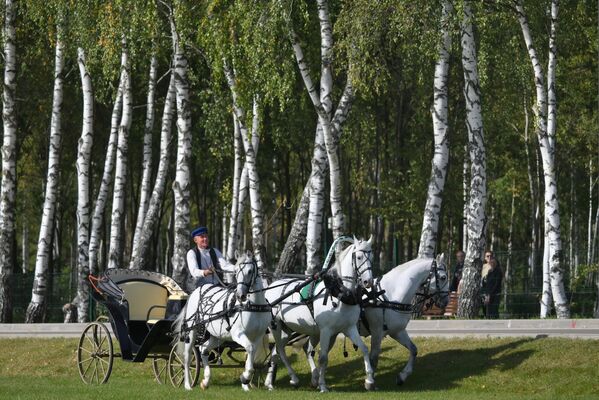 Krok za krokom sa TROIKA blíži k začleneniu do celkového ruského registra národných neolympijských športov: to umožní vytvoriť federáciu a organizovať pravidelné ruské majstrovstvá. Krok za krokom sa TROIKA blíži k začleneniu do celkového ruského registra národných neolympijských športov: to umožní vytvoriť federáciu a organizovať pravidelné ruské majstrovstvá. - Sputnik International
