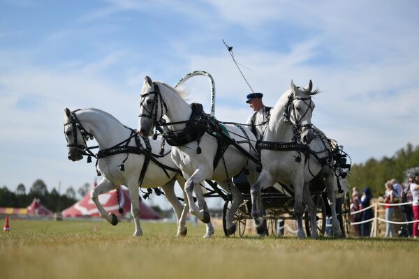 Ruská troika nemá na svete analóg. Ruská troika nemá na svete analóg. - Sputnik International
