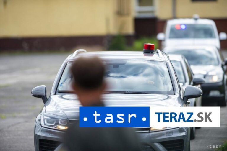 Pred mešitou vo francúzskom departemente Loire našli diviačiu nohu