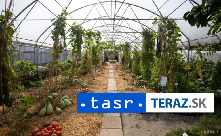 Skleník pre žiakov v Želovciach má za sebou pestovateľskú sezónu