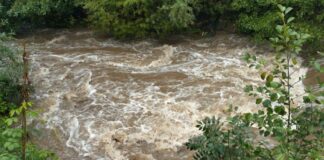 Predseda vlády Valencie Mazón sa vzdáva funkcie pre vlaňajšie záplavy