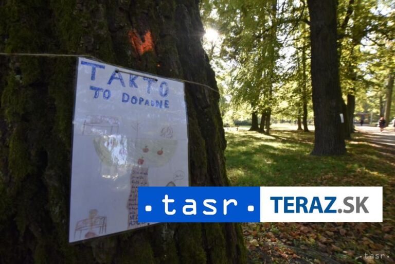 Časť občanov v Banskej Bystrici nesúhlasí s výrubom asi 400 stromov