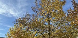 Od utorka nás čaká prijemné slnečné počasie