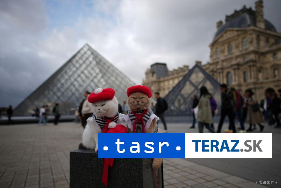 Kradez-z-Louvru-uz-vysetruje-Interpol-aj-nemecky-kriminalny-urad.jpg