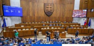 SaS navrhuje zakotviť členstvo SR v EÚ a NATO do ústavy