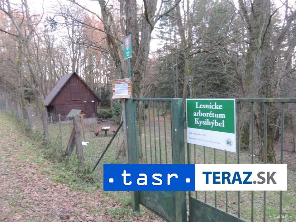 V-Arborete-Kysihybel-sa-nachadza-uz-vyse-20-umeleckych-diel.jpg