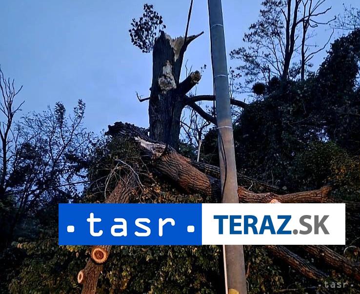 V-Trnavskom-kraji-13-zasahov.jpg