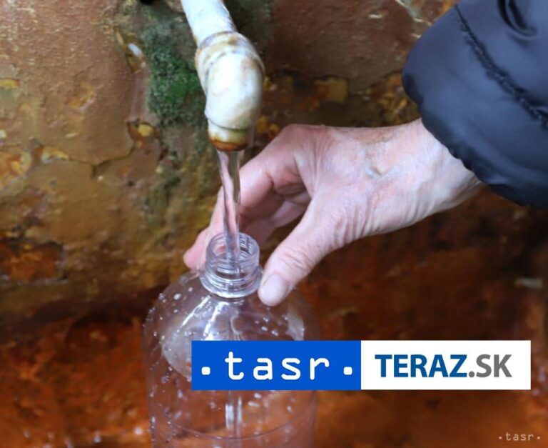 V Korytnici vyčistili historické stromové aleje