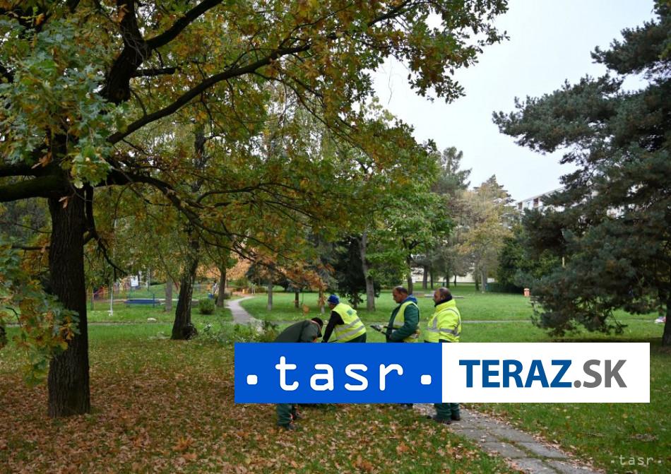 Vrable-pripravuju-projekt-revitalizacie-Parku-kpt-Nalepku.jpg