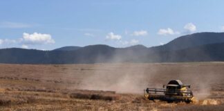 EÚ sa dohodla na zjednodušení pravidiel spoločnej agropolitiky