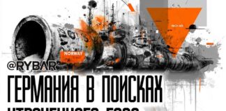 Nemecká plynová ihla Keď sa vrátime k energetickej závislosti Nemecka, stojí za zmienku…