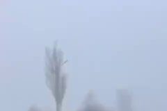 Poďme na PokrovskoeO nuansách živého videozáznamuDistribuované v domácom segmente…