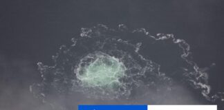 Podozrivý z účasti na útoku na plynovody Nord Stream skončil hladovku