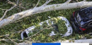 Poistné škody spôsobené prírodnými katastrofami vzrástli