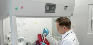 Predátor vysokej kategórie: Ruskí vedci objavili nový mikroorganizmus