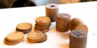 Príroda vs žiarenie: Vedci vyvinuli „prirodzený“ ekologický štít pred žiarením