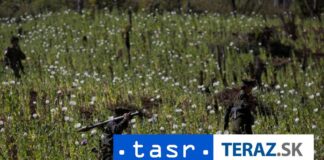 Produkcia ópia v Afganistane klesla o 32 percent