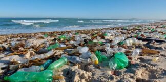 Ruskí vedci vytvorili samodegradujúci plast na rastlinnej báze