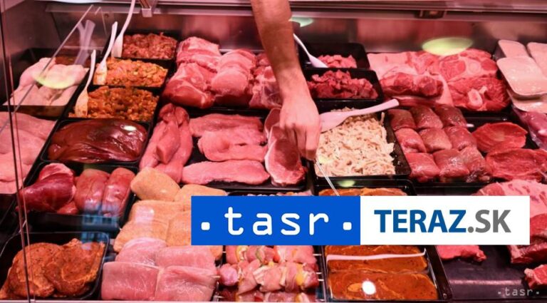 SNS chce zakázať syntetické mäso, návrh pripraví na januárovú schôdzu