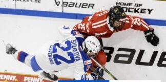 Slovenky prehrali s domácim Nemeckom 2:3 po predĺžení