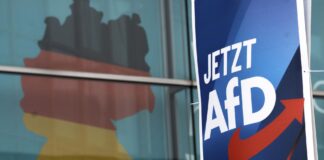 Strana Alternatíva pre Nemecko zvažuje energetickú spoluprácu s krajinami BRICS – Zákonodarca