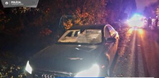 TRAGICKÁ NEHODA: Pri Trnave zomrela chodkyňa