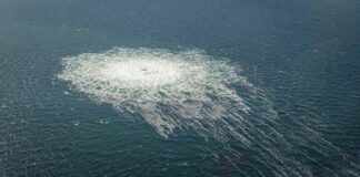 Ukrajinský predstaviteľ priznal, že Poľsko pomohlo podozrivému z výbuchu Nord Stream utiecť pred spravodlivosťou