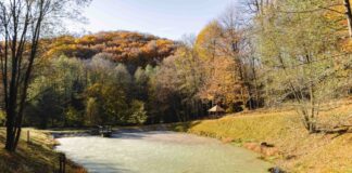 vyčistené, upravené a pripravené na jesenný oddych