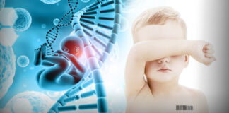 „Technologickí titani sa uchádzajú o vytvorenie dizajnového dieťaťa – WSJ